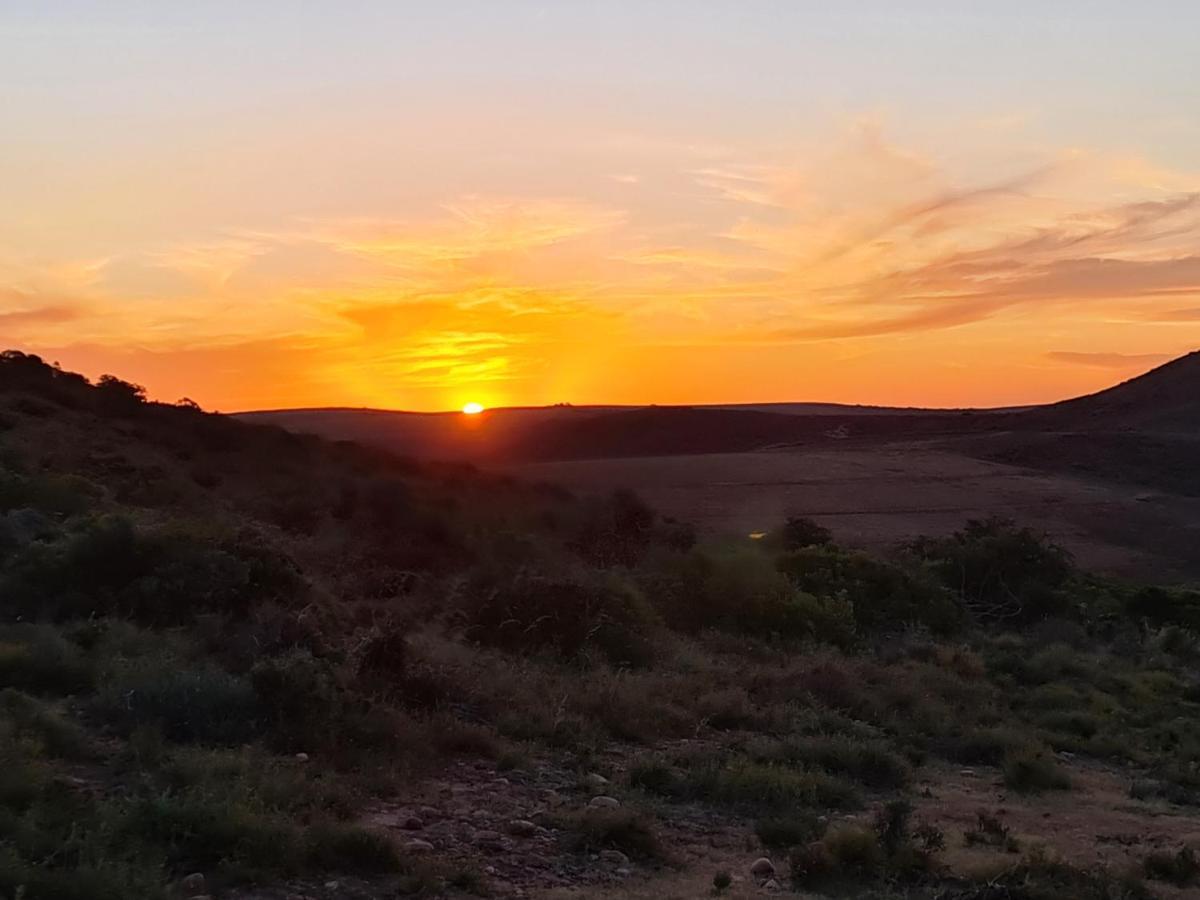 Indalu Game Reserve Boggomsbaai Bagian luar foto