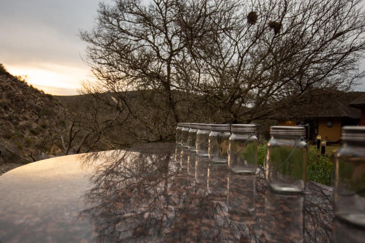 Indalu Game Reserve Boggomsbaai Bagian luar foto